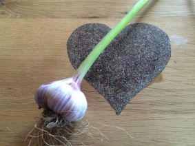 garlic heart copy